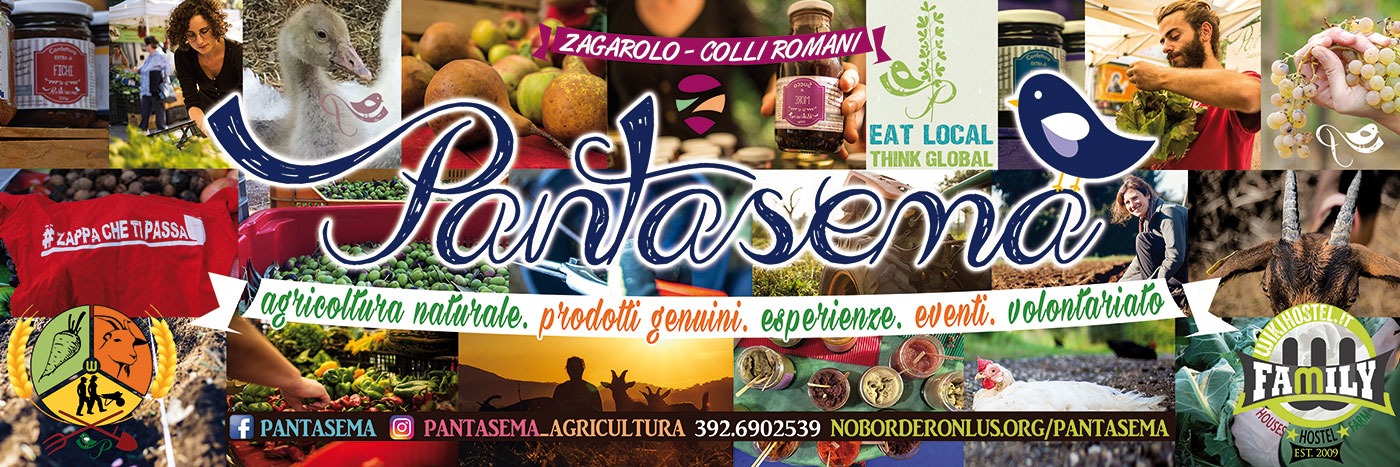 BANNER-PANTASEMA-GFX-2020-WEB