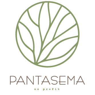 PANTASEMA NO PROFIT logo green-brown@0.5x